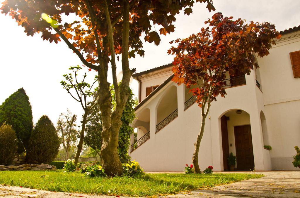 La Coccinella Bed & Breakfast Iesi Bagian luar foto