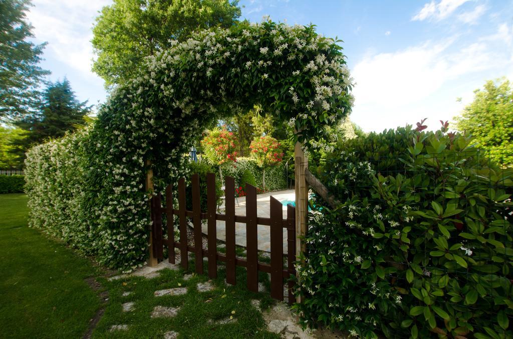 La Coccinella Bed & Breakfast Iesi Bagian luar foto
