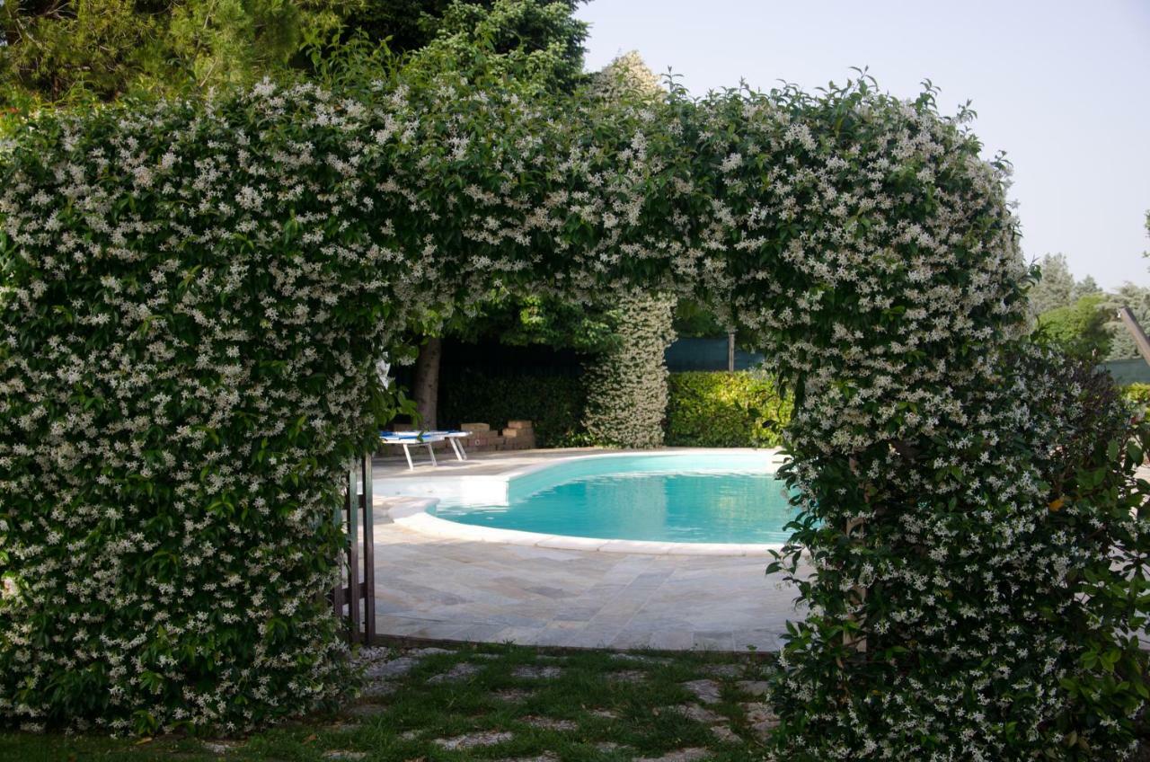 La Coccinella Bed & Breakfast Iesi Bagian luar foto